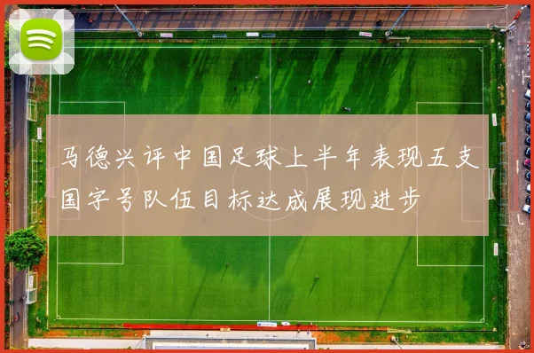 马德兴评中国足球上半年表现五支国字号队伍目标达成展现进步