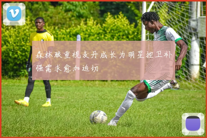 森林狼重视麦丹成长为明星控卫补强需求愈加迫切