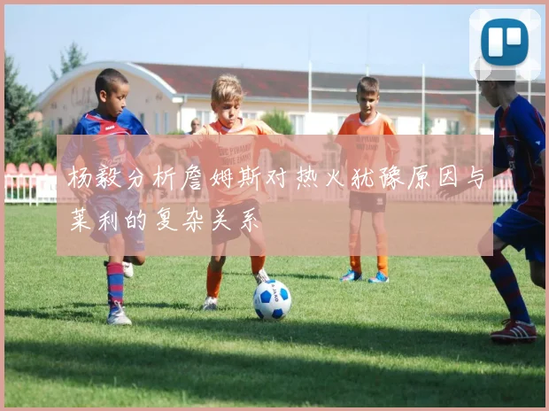 杨毅分析詹姆斯对热火犹豫原因与莱利的复杂关系